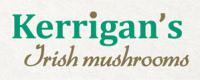 Kerrigan’s Mushrooms